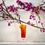 Crowne Plaza Budva by IHG