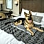 Beachfront Inn