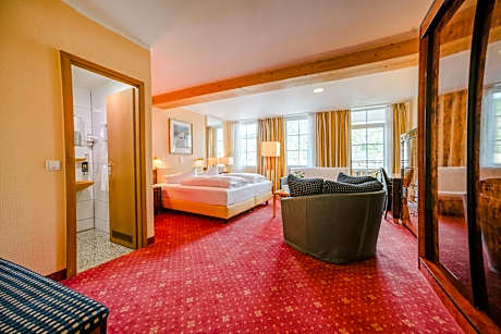 Double Room with Rhine view and balcony