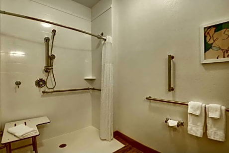 1 King Accessible Roll In Shower Studio Non-Smoking