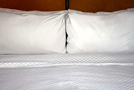 Room, 1 King Bed