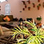 riad casa bahia asilah