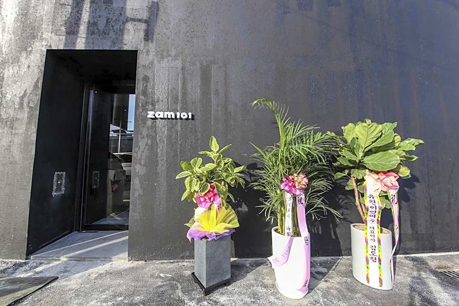 Hotel Zam 101