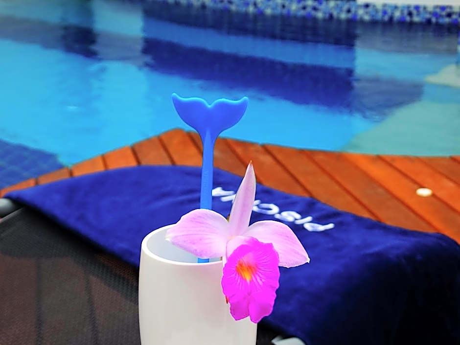 Recanto das Andorinhas Studios