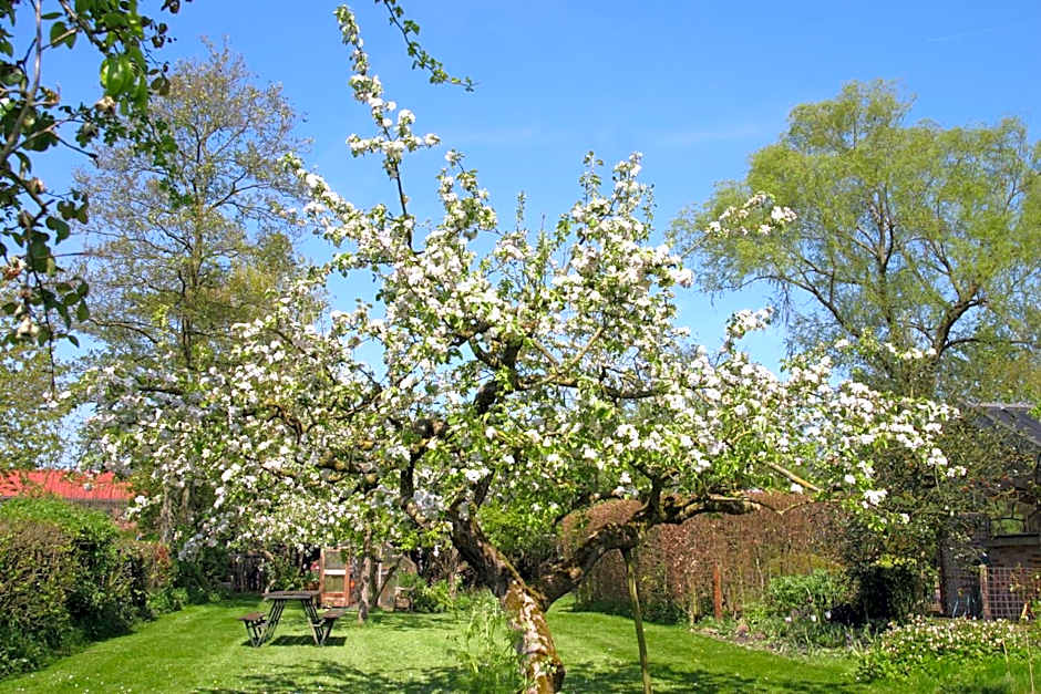 B&B De Leeghpoel