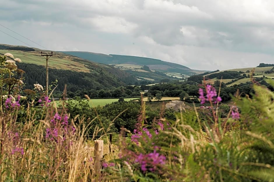Belan Bluebell Woods Shepherds Hut