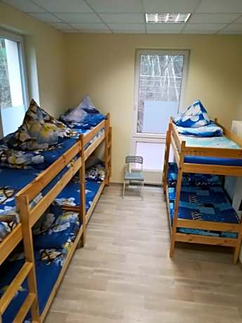 Bed in 6-Bed Dormitory Room