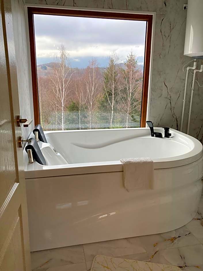 Cabana doi mesteceni