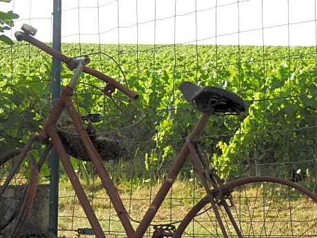 Au Coeur Des Vignes