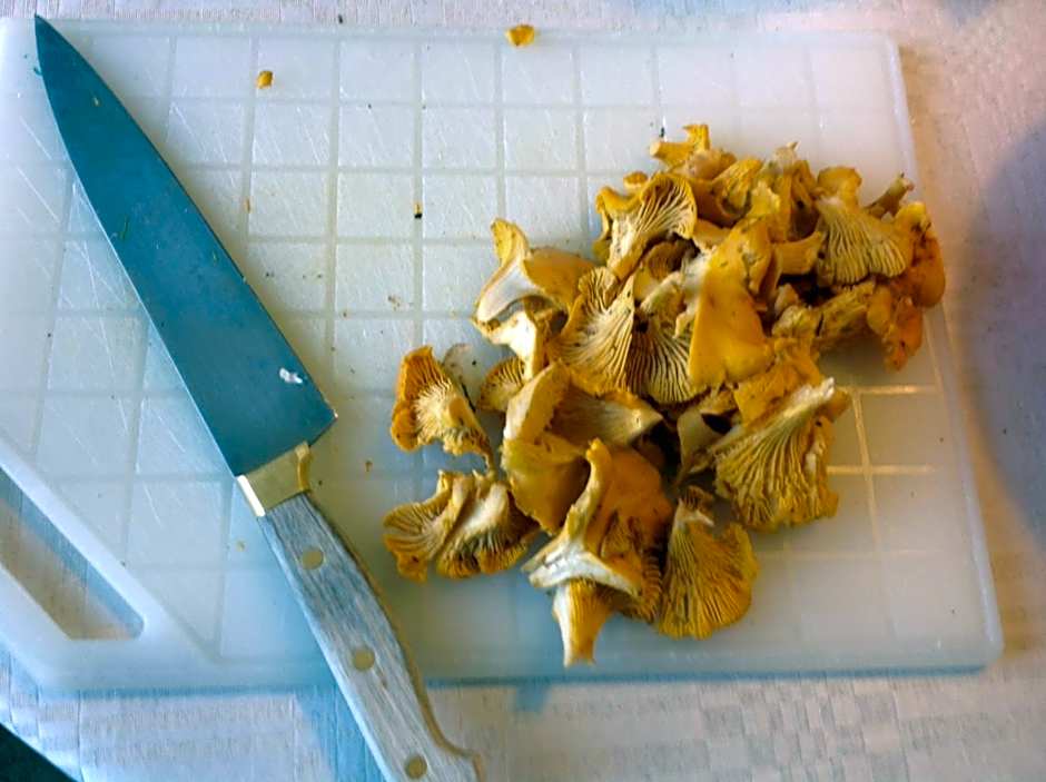 STF Vandrarhem Edsbyn