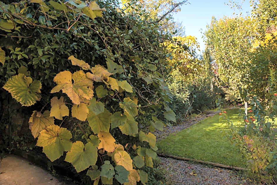 Al Porto Di Lucca B&B