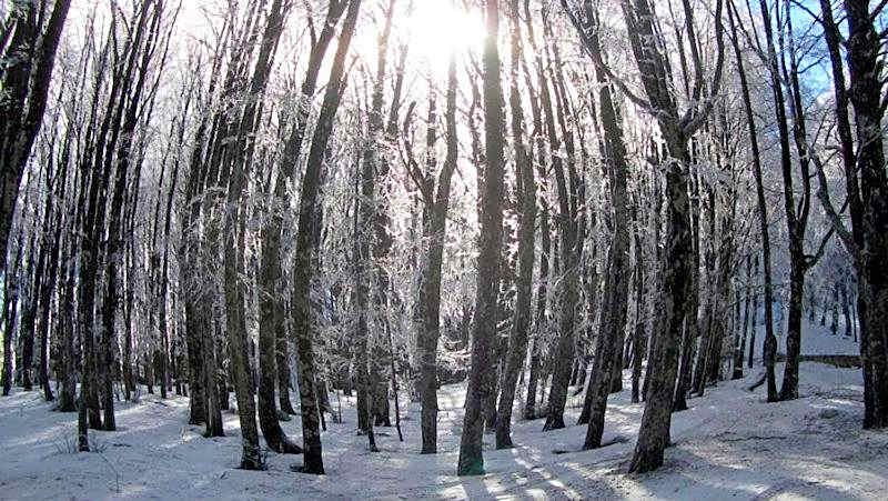 Albergo Generale Cantore - Monte Amiata