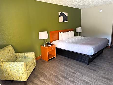 King Room - Non-Smoking