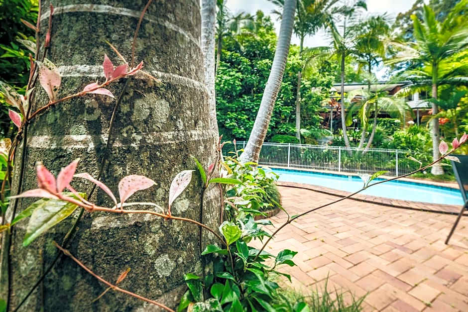 Bella Vista Bellingen