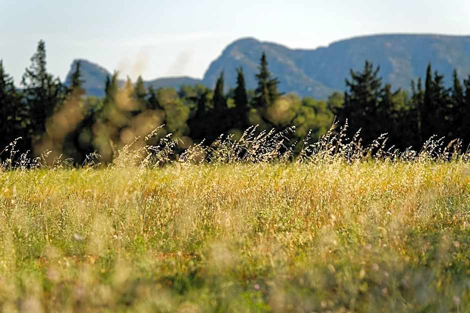 Domaine la Pierre Blanche