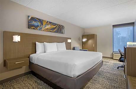 King Room - Non-Smoking