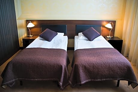 Business Deluxe Double or Twin Room
