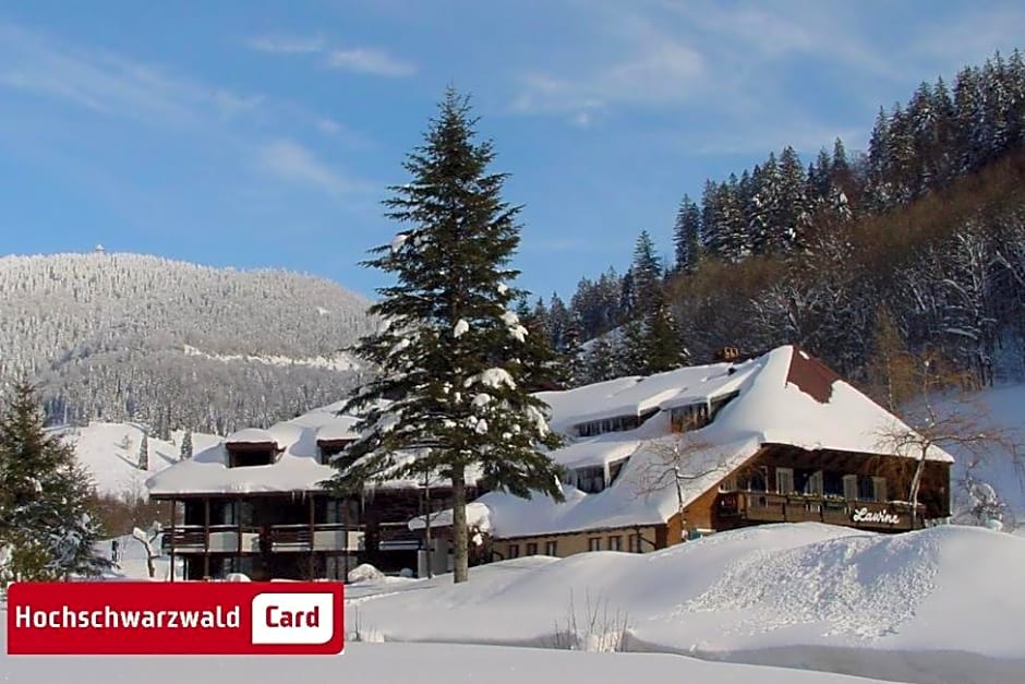 Hotel Lawine