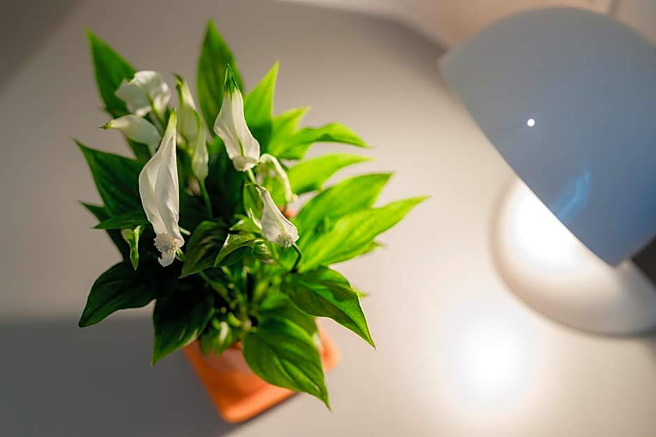 Hotel Florjanckov Hram