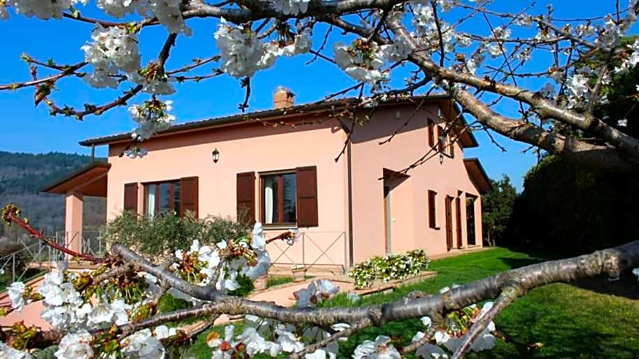 Alta Perugia B&B