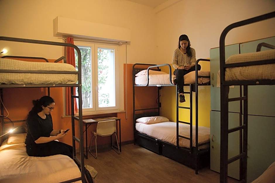 Sunflower City Student Hostel & Bar