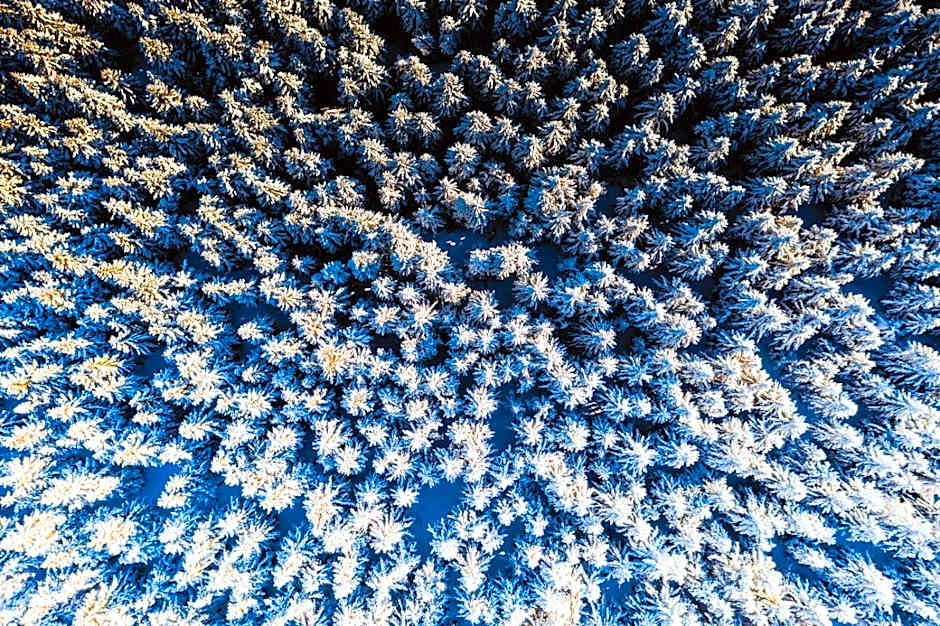 Chata pod Mravenečníkem