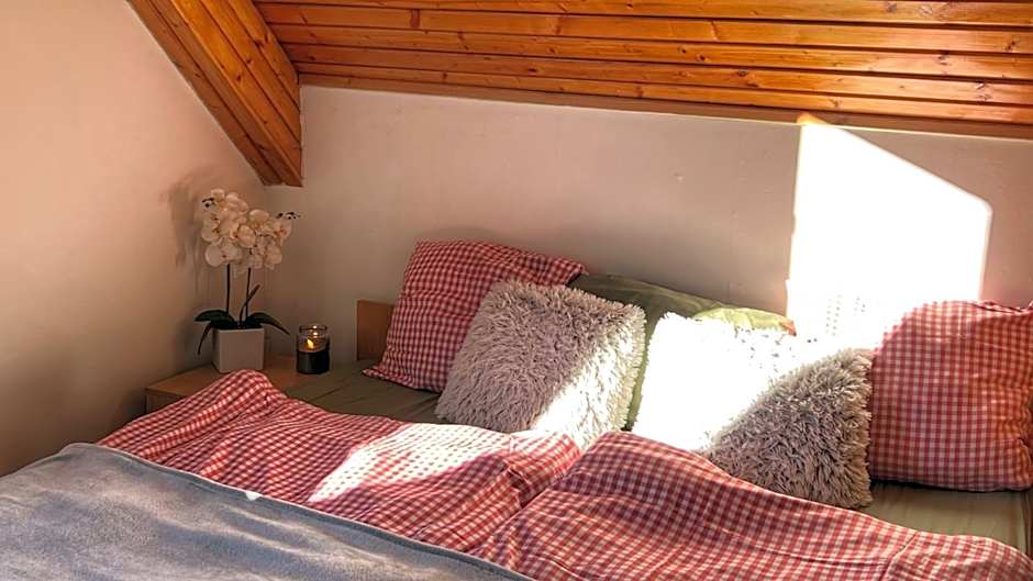 Apartmány chata Samoty