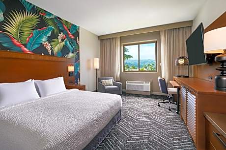 Guest Room, 1 King