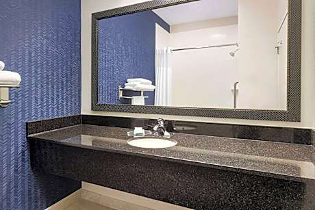 Room, 1 Queen Bed (Mobility Accessible, Roll-In Shower) (1 Queen Bed)