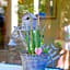 Boutique Hotel Asteria
