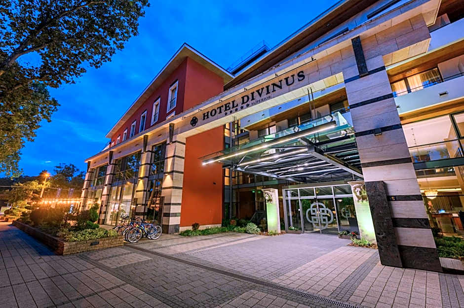 Hotel Divinus