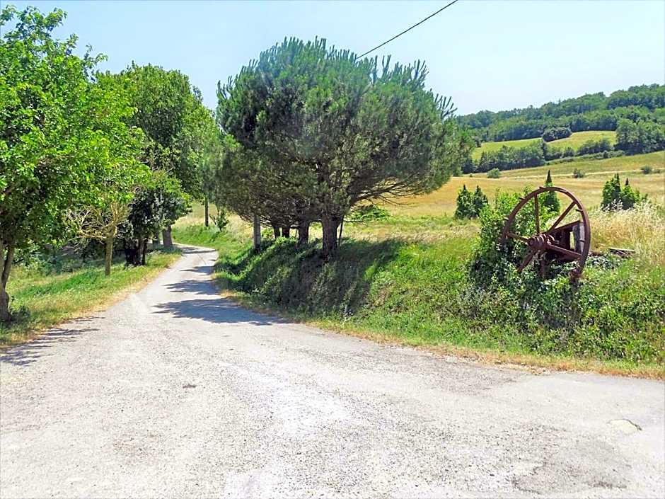 Domaine De La Petite Tour