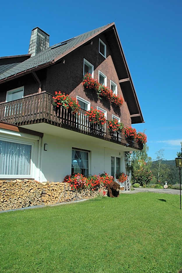 Hotel Diana