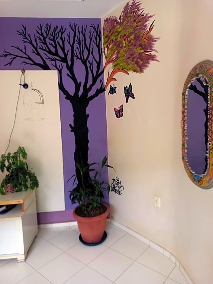 Verdes Hostel Palmas-TO