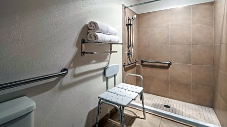 1 Queen Bed, Mobility Accessible, Communication Assistance, Bathtub, Non-Smoking, Full Breakfast