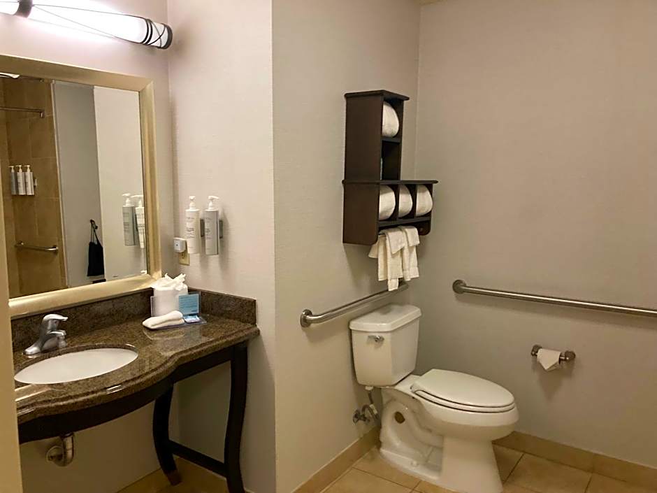 Hampton Inn By Hilton & Suites Carlsbad