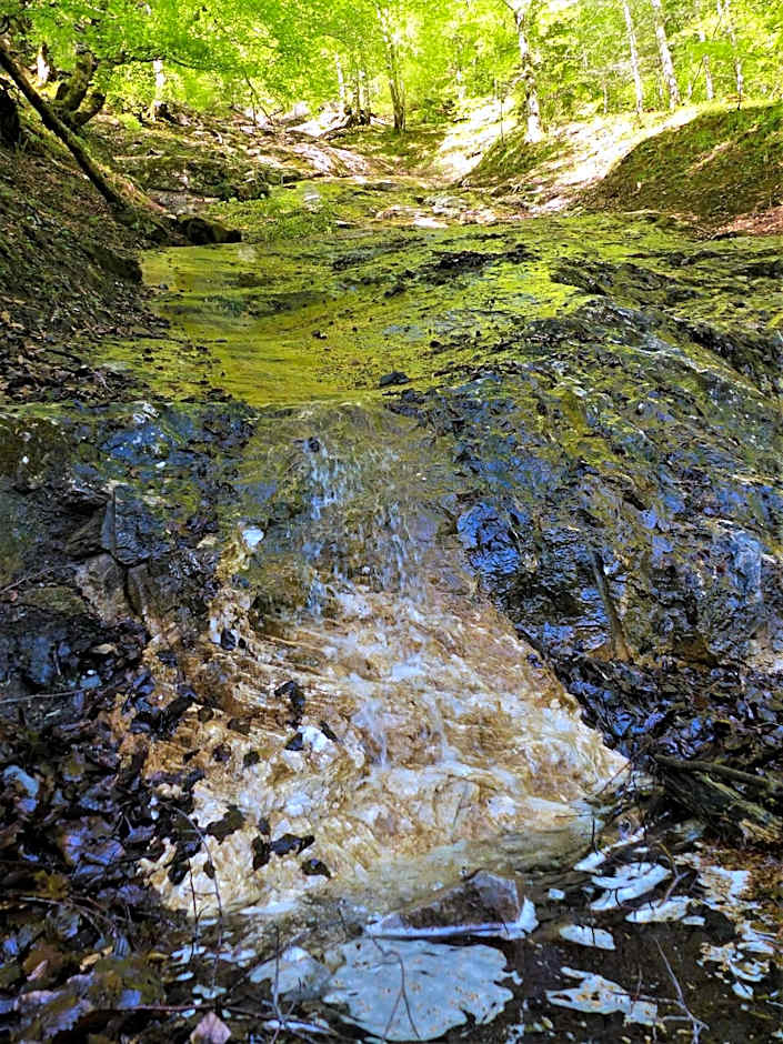 Hostellerie de La Poste