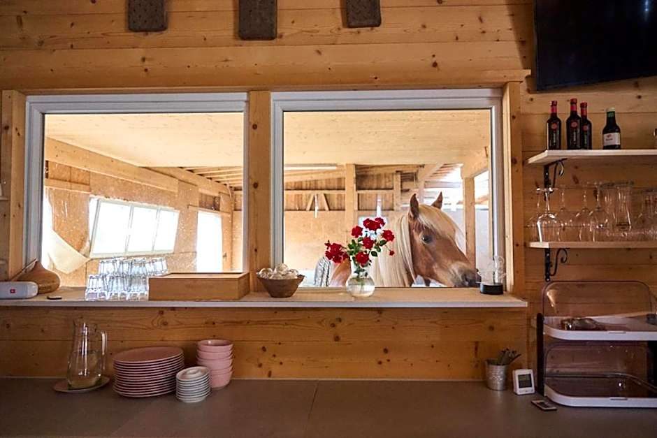 B&B Margit's Ranch Urlaub am Pferdehof