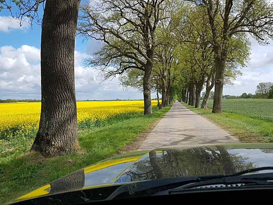 Foto 1 di 20 di Morizan