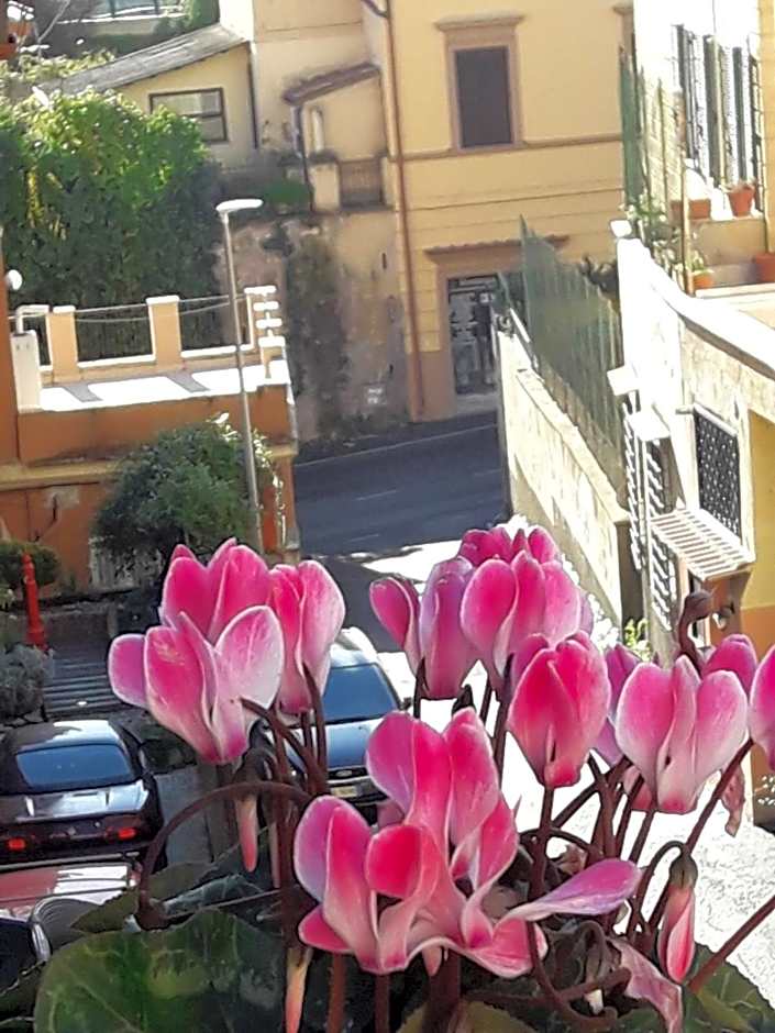 San Pietro Leisure and Luxury