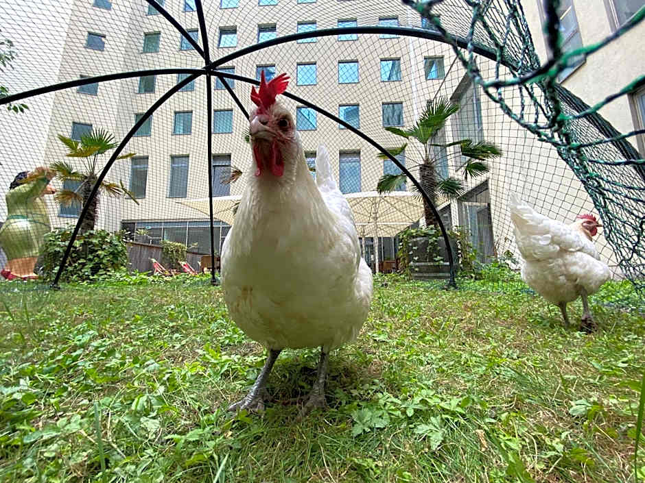 Lindner Hotel Berlin Ku'damm, part of JdV by Hyatt