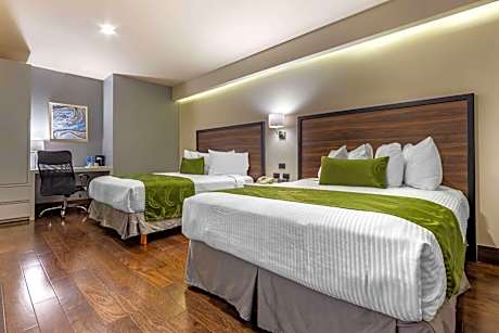 Queen Room with Two Queen Beds - Non-Smoking