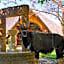 Ditholo Game Lodge Bela Bela