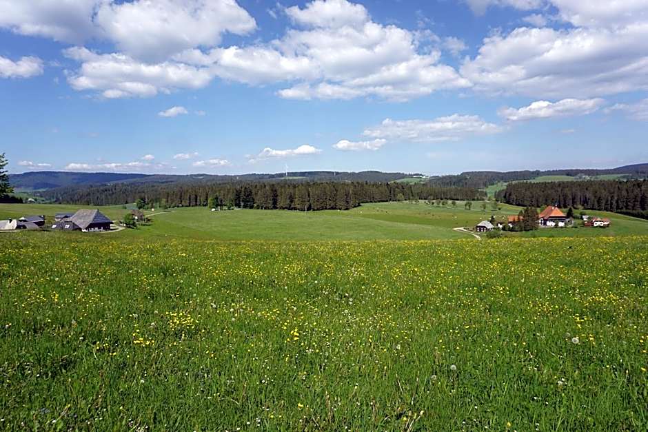 Kurparkhotel Faißt