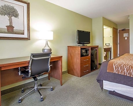 1 King Bed, Suite, Nonsmoking