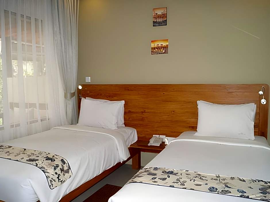 Arana Suite