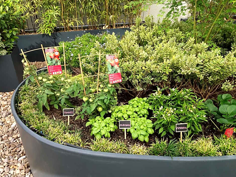 Ibis Budget Madrid Calle 30