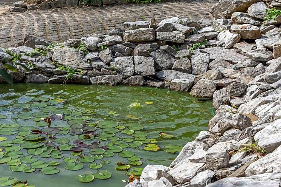 Struck Landhotel & SPA