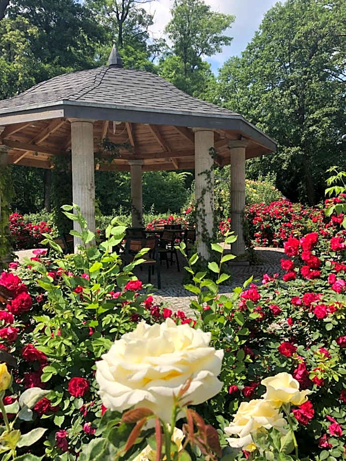 Hotel Willa Starosty