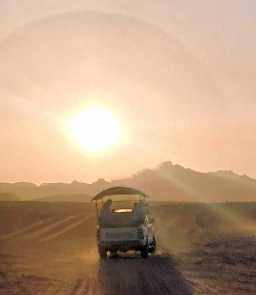 Wadi Rum Desert Tours and Glamping with Hussein